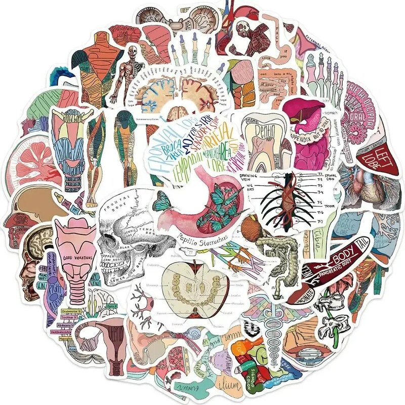 Pegatinas de fisiología corporal de Anatomía Humana, 50 piezas, Graffiti temporal, pegatinas para equipaje, monopatín, portátil, guitarra, calcomanías, Juguetes