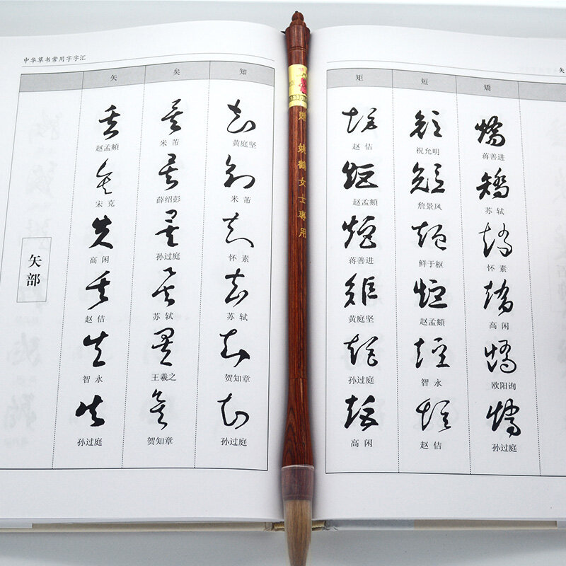Un dictionnaire de caractères couramment utilisés dans la jetée cursive chinoise