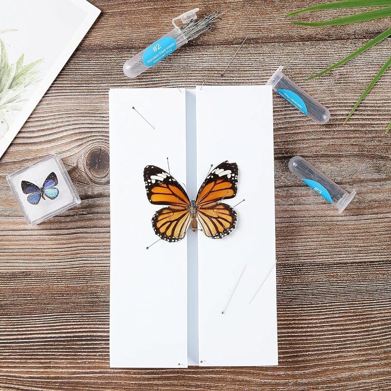 Белая пининговая доска для насекомых, двухсторонние комбинированные пластины из вспененного этилвинилацетата, панели для насекомых, разделяющие крылья для бабочек