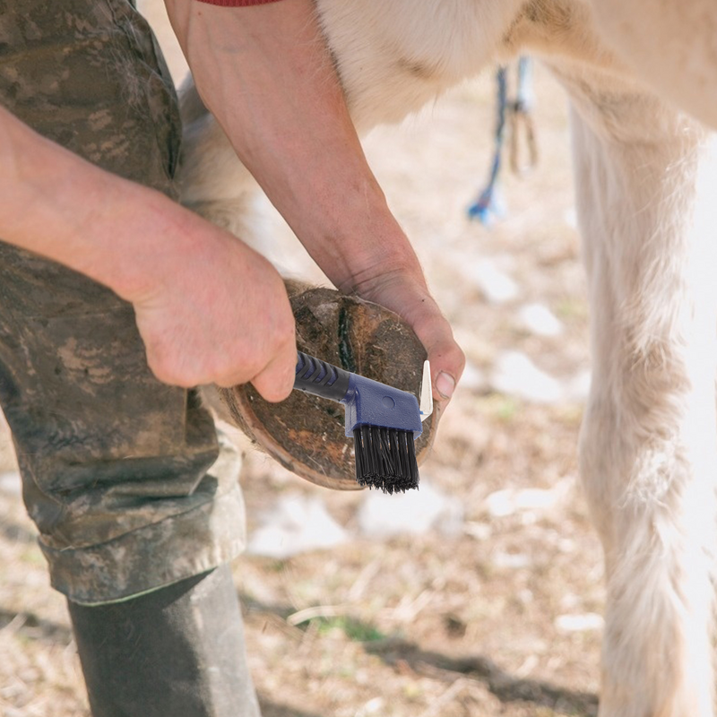 Pegangan antiselip karet Hoof Pick dengan sikat nilon kuda perawatan sepatu kuda sikat profesional alat pembersih