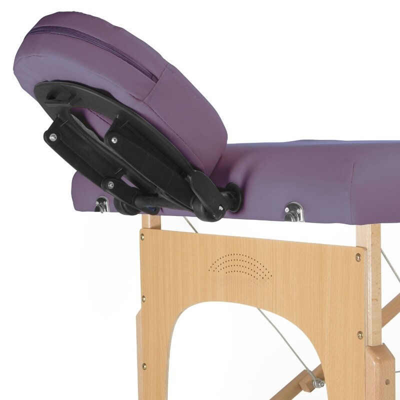 Mesa de masaje plegable profesional, portátil, con estuche de transporte, novedad de 2024