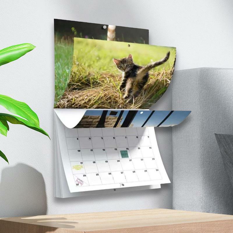 Calendario de pared divertido para gatos, calendario de gatito de papel resistente y grueso para colgar, imágenes de gatos caprichosas y divertidas, 2024