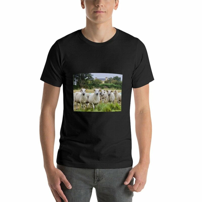 T-shirt imprimé mouton irlandais sur le terrain pour hommes et garçons, vêtements d'été, médicaments, animal