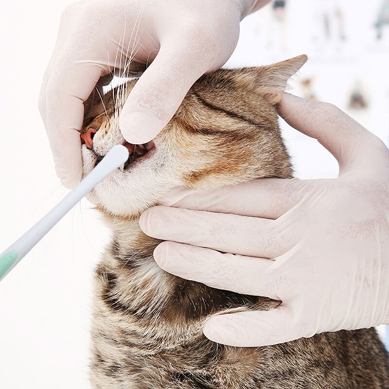Зубная щетка для кошек с мягкой щетиной, зубная щетка с длинной ручкой, щетка для чистки полости рта