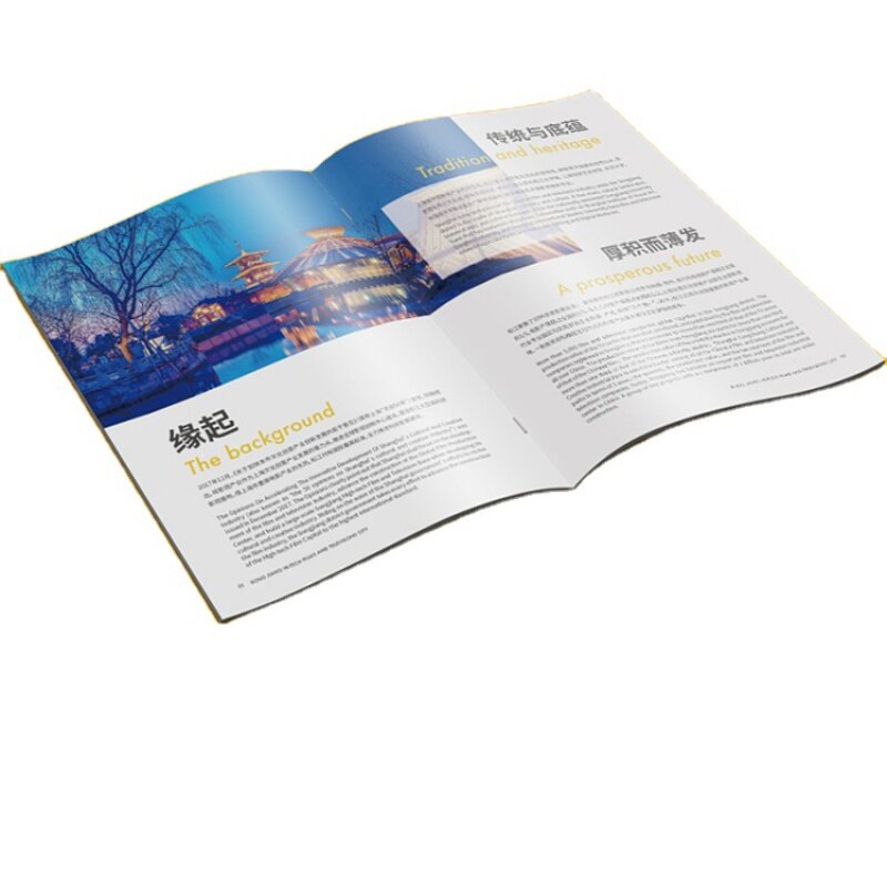 Kunden spezifische kunden spezifische neue gedruckte Förderung billige Broschüre Katalog Flyer/Faltblatt/Katalog/Broschüre Druck