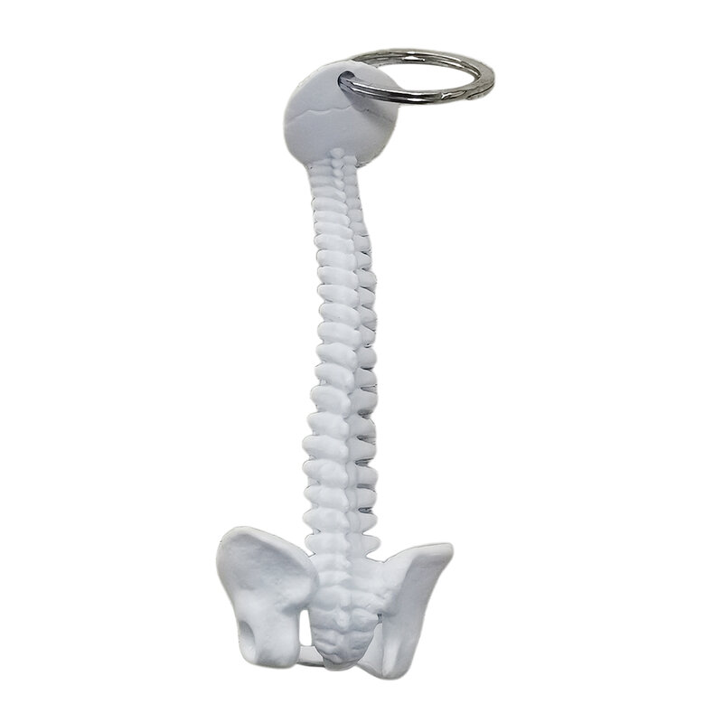 Mini portachiavi modello scheletro della colonna vertebrale umana artigianale in materiale PVC per regalo novità ornamento di aiuto didattico scolastico