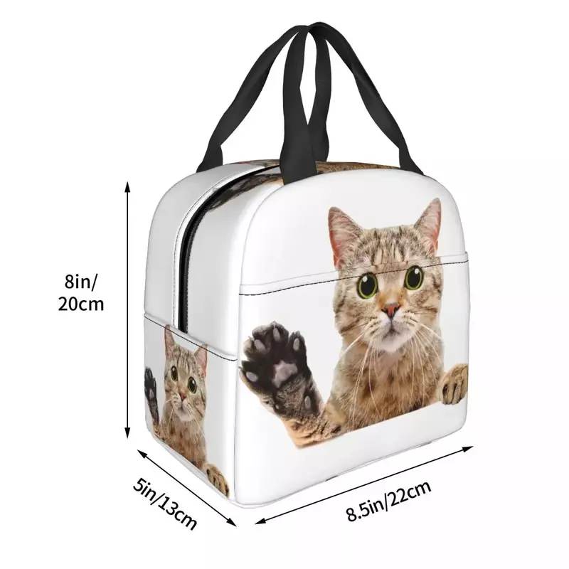 Niedliche schottische Katze späht Lunch Bag auslaufs ic heres Picknick isoliert warm kühler thermische Lunchbox für Frauen Kinder Tote Container
