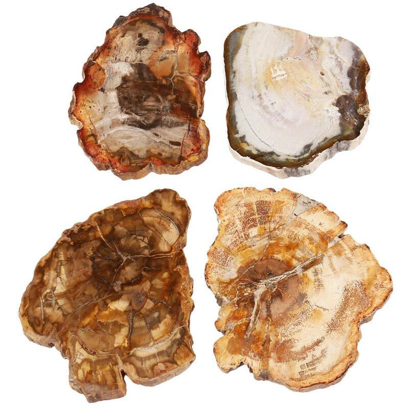 1Pc Natürliche Versteinertes Holz Stein Slab Probe Unregelmäßigen Healing Kristall Sammlung Für Schmuck Machen Room Decor 135-250g