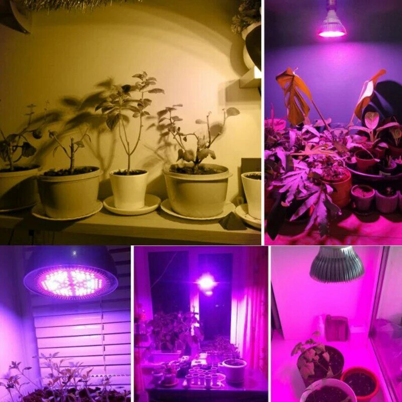 300W LED Grow Light Bulb E27 LED Plant Bulb 200 LED Sunlight Full Spectrum Indoor Flower verdure Seedling plant growth Lamp