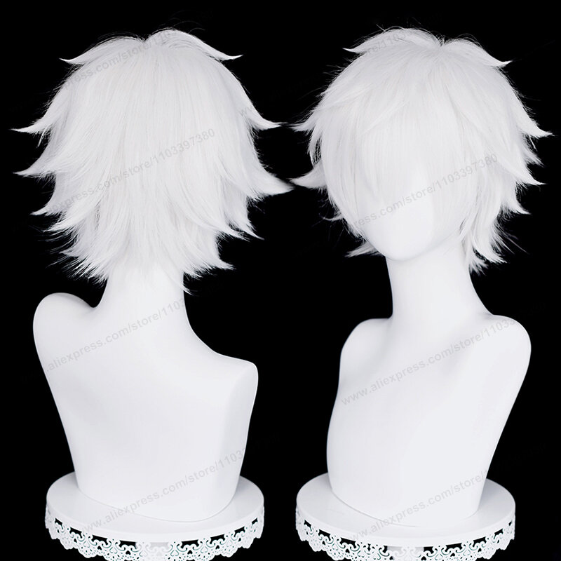 Lu Guang peruka do cosplay 30cm krótkie puszyste srebrno-białe męskie włosy Anime żaroodporne peruki syntetyczne