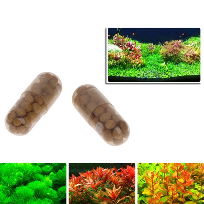 Fertilizzante per piante da acquario con linguette per radici da 40 pezzi, per piante acquatiche e piante verdi