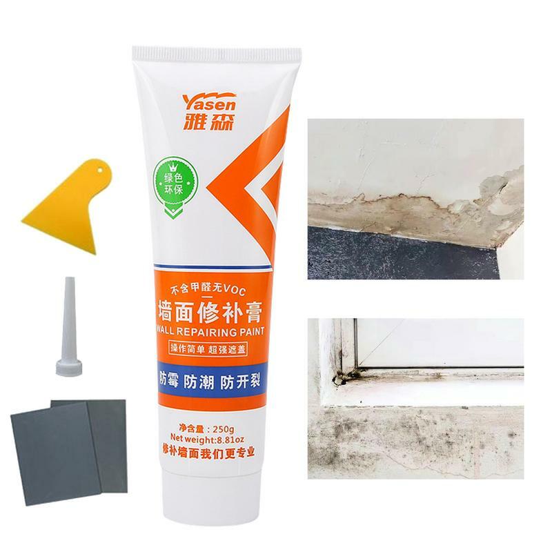 Multipurpose Dry Wall Patch Kits, gesso impermeável, remendo agente, colar, reparo do furo