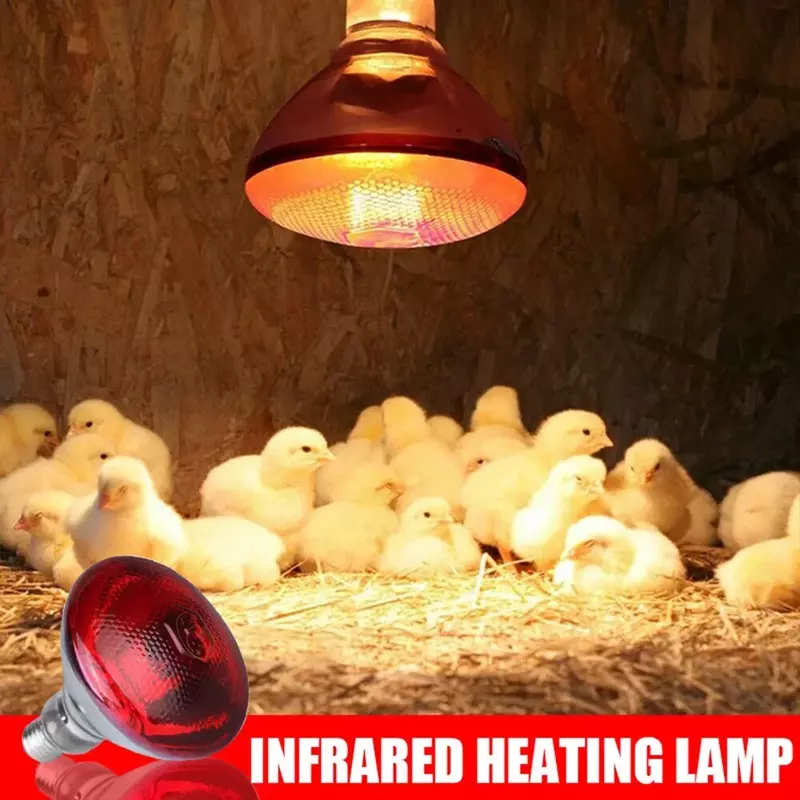 220V Poultry Heating Bulb 100/150/200/275W Infrared Insulation Heating for Reptiles Plants Chickens Amphibians Pets Livestock