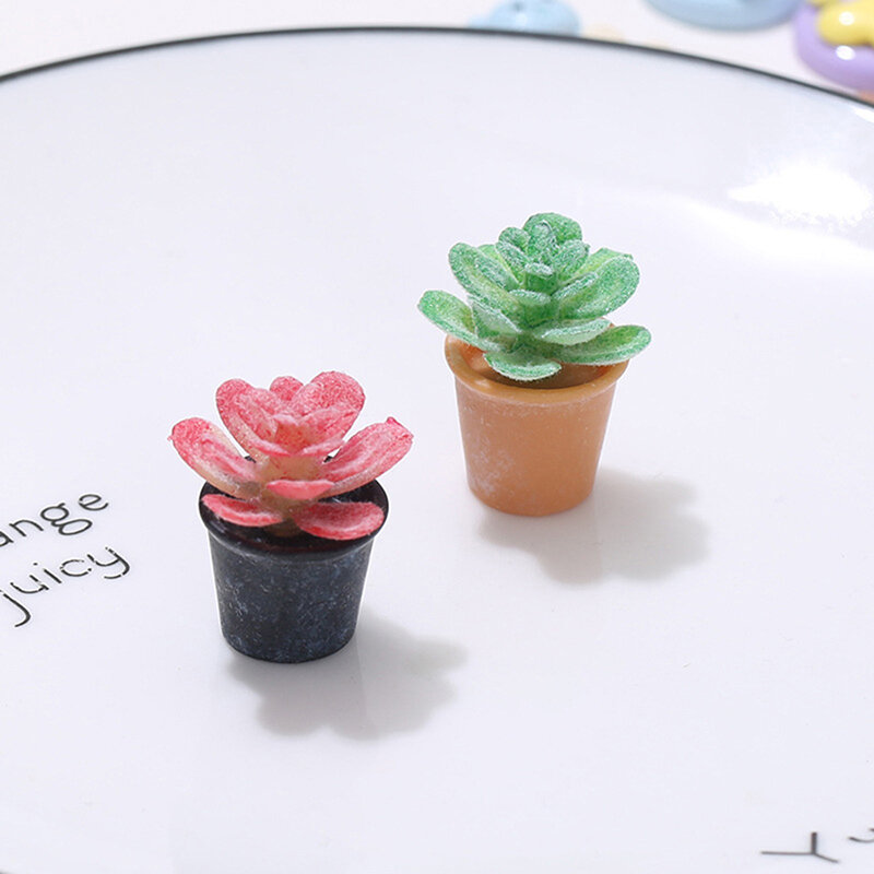 2 pezzi casa delle bambole mini-ornamento tridimensionale in vaso mini scena di tiro modello di pianta succulenta