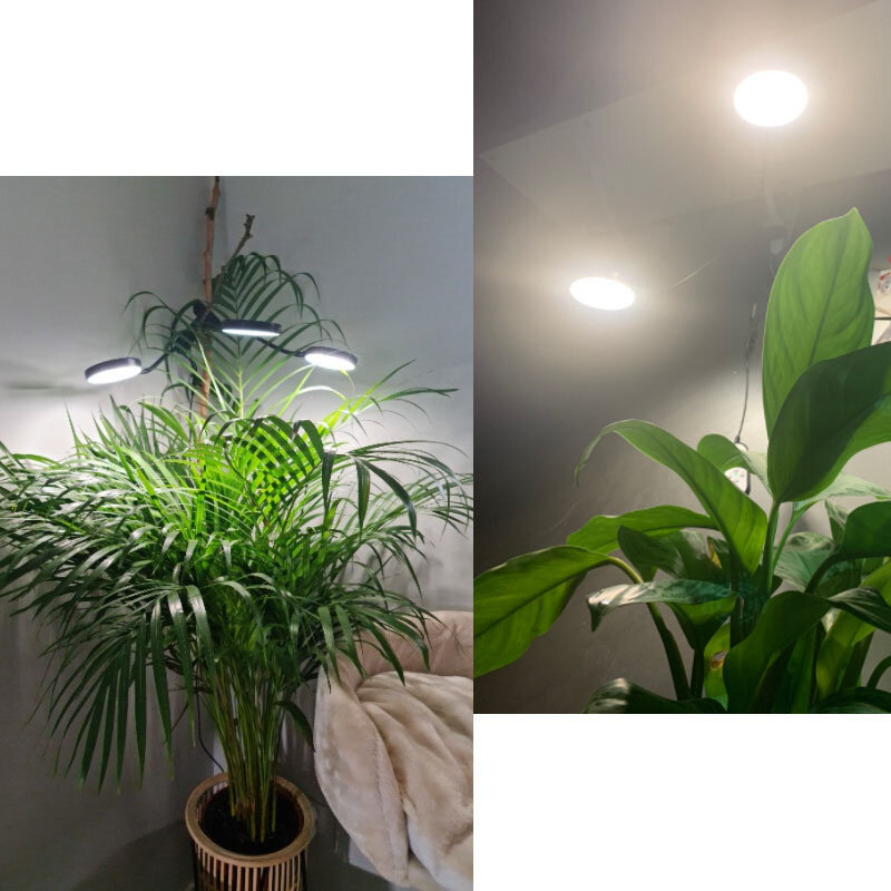 Luz LED con temporizador USB para cultivo, lámpara de espectro completo para cultivo de plantas y flores, con Clip para cubierta, para invernadero de interior