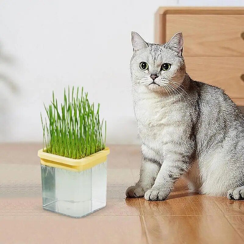 Caja de cultivo de hierba hidropónica para gatos, bandejas de germinación para brotes, hierba gatera hidropónica para gatos, caja de hierba para gatos para el hogar