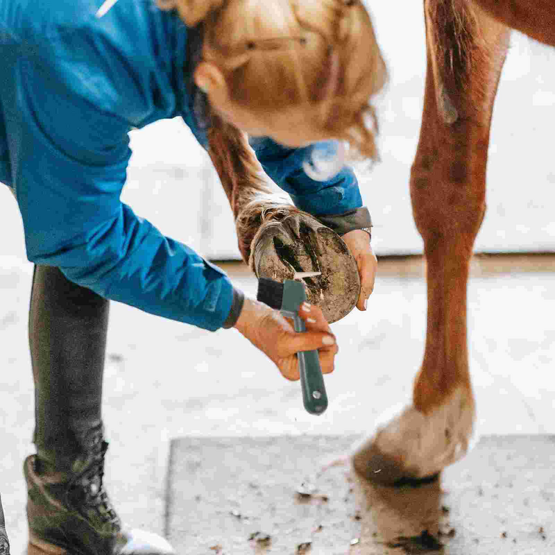 فرشاة اختيار حافر الحصان البلاستيكية مع قبضة ، مقبض تنظيف ، أداة حلاقة حدوة حصان محمولة