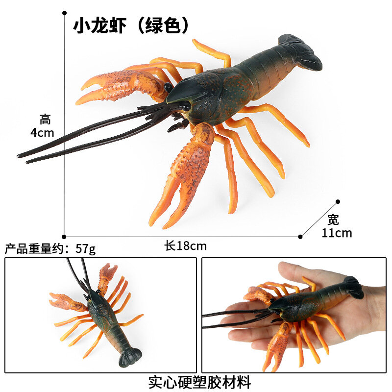 Mainan Model Lobster Udang Karang Air Tawar Solid Simulasi Anak-anak Ornamen Udang Merah