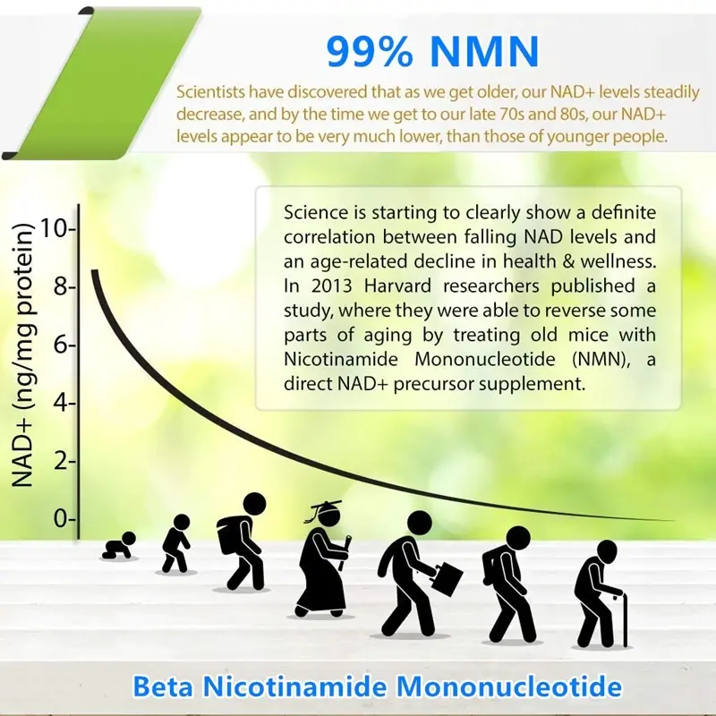 BetaNMN-Nicotina Mide Mono Nuclétiendra de,Cas 99%-61-7, Approvisionnement Direct d'Usine, 1094