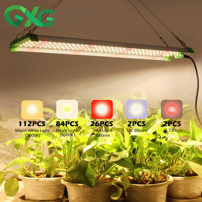 Lampe horticole de croissance LED, 110/220V, 85W, 10000LM, éclairage pour plantes, semis, serre, tente