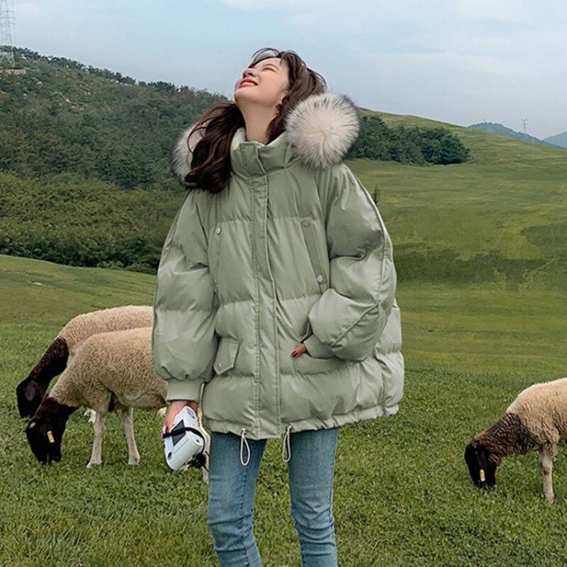 2023 New Women Down Cotton Coat Winter Jacket Female Short Parkas Loose Thick Warm Outwear Hooded Fur Collar Versatile Overcoat