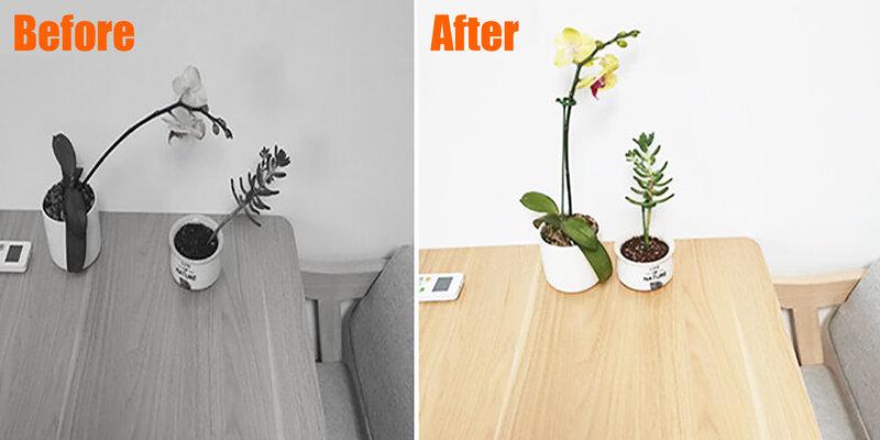 5/10/20 pçs plástico planta suporta flor suporte reutilizável ferramenta de fixação proteção jardinagem suprimentos para suporte vegetal