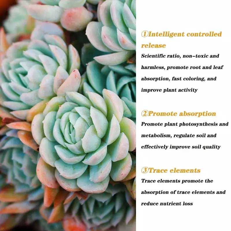 Succulents Rooting, Bursting Buds, Color Enhancement, Nutrient Solution Splitting and Rooting 120ml