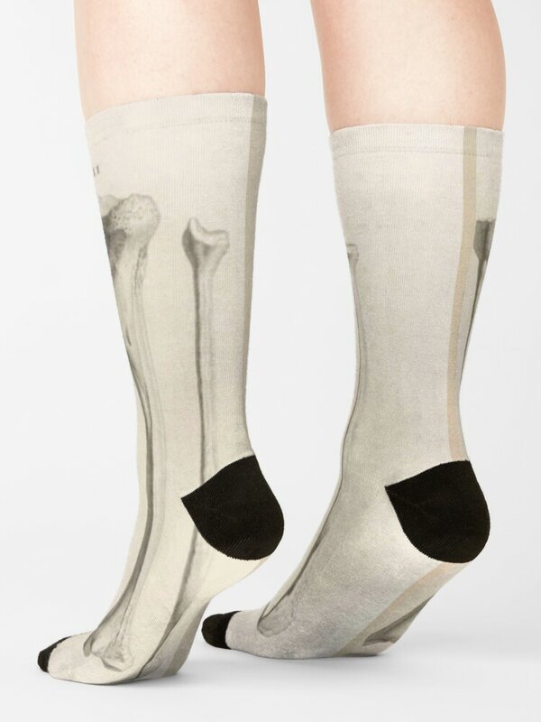 Chaussettes à os anatomiques pour femmes, bas de compression