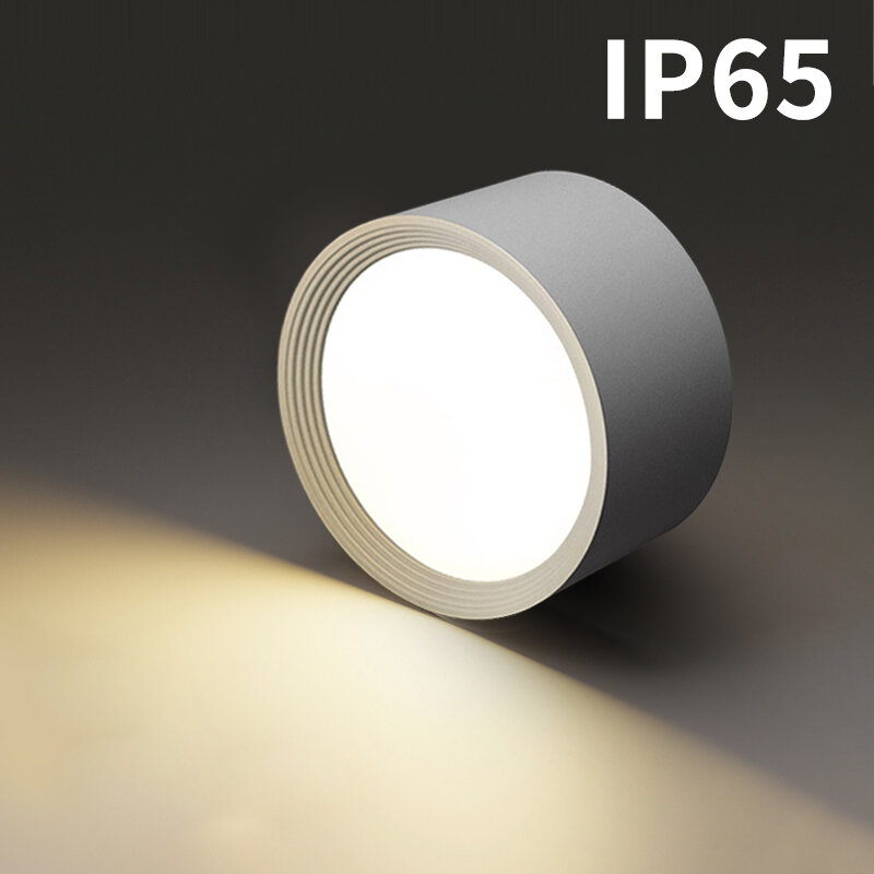 Spot Lumineux LED Imperméable Conforme à la Norme IP65, Éclairage d'Extérieur, Idéal pour un Plafond, une Véranda ou un délégations, 12V, 220/12W