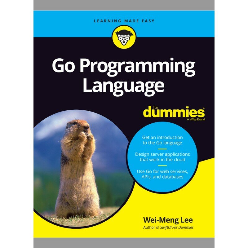 Ga Programmeertaal Voor Dummies