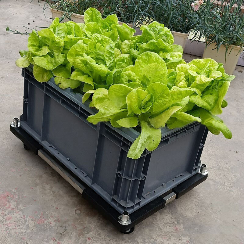 Hydroponics Growing System Indoors Smart Plant Pot Aerobic System Gardening Greenhouse Equipment Vegetable Planter Installation