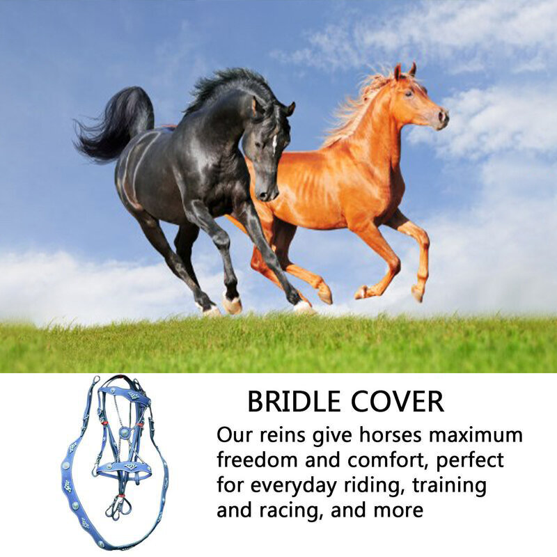Halter kuda dan tali penuntun kulit PU Halter dan tali timah ergonomis nyaman tidak terbatas dengan gesper logam
