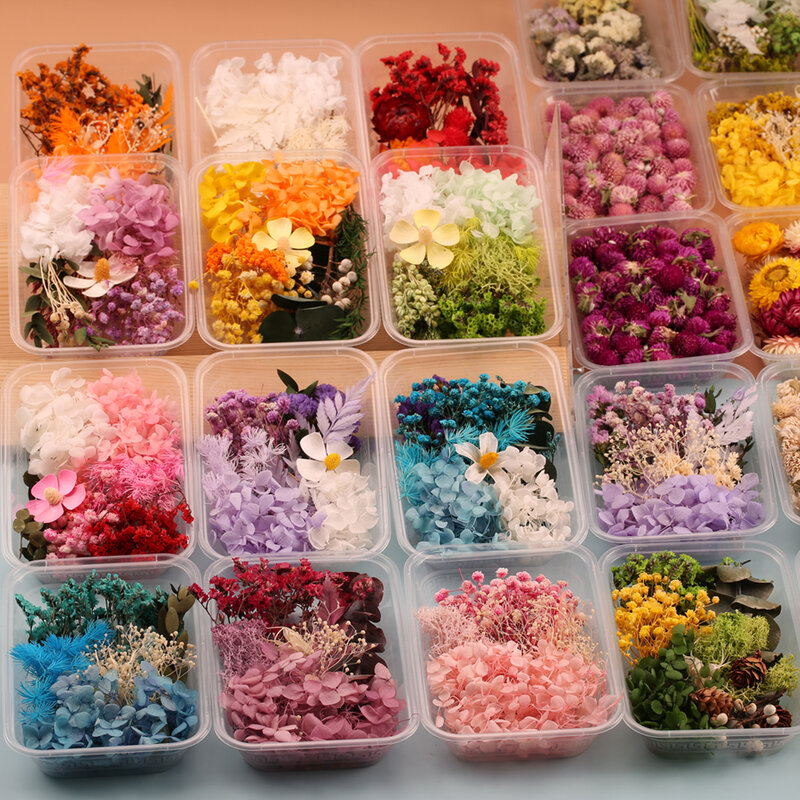 Flores secas reales naturales para plantas artificiales de resina, moldes para velas de decoración del hogar Diy, herramientas para hacer accesorios, 1 caja