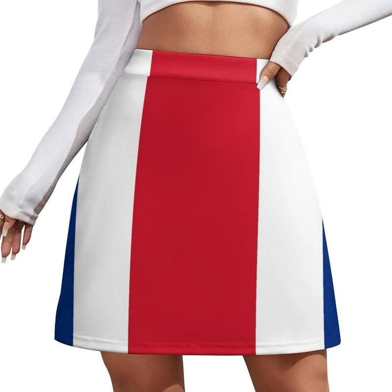 Minifalda de estilo coreano para mujer, regalos de bandera costarricana, pegatinas y productos, estética de los años 90, faldas elegantes