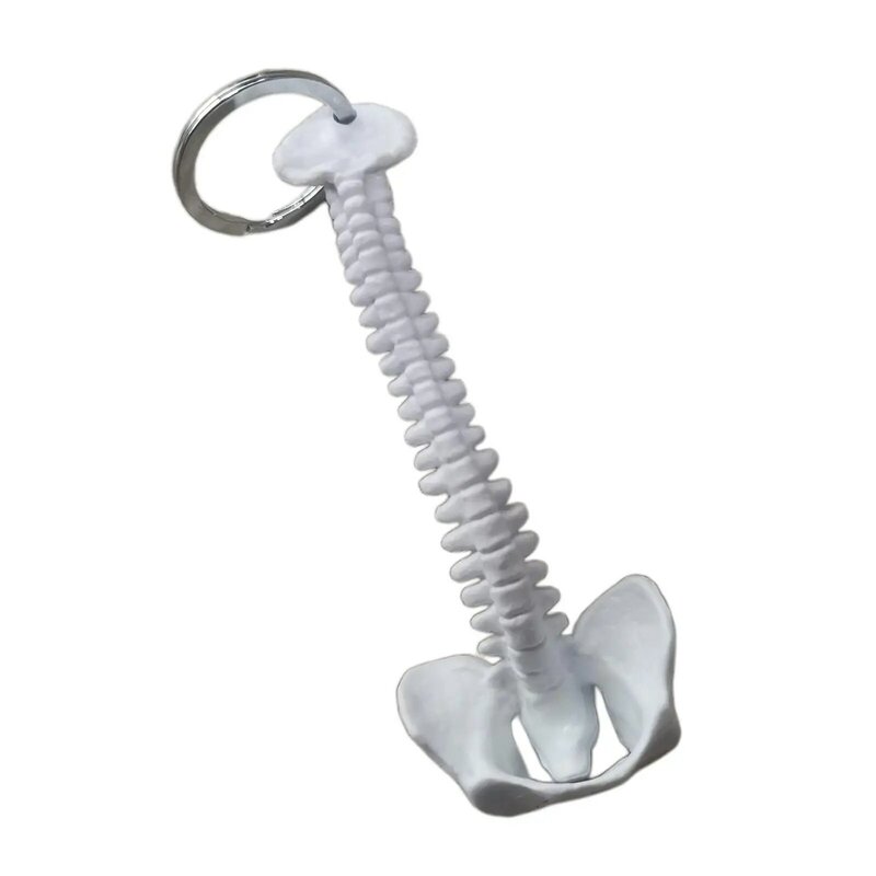 Elegante Mini chiave a catena con scheletro spinale realizzata a mano