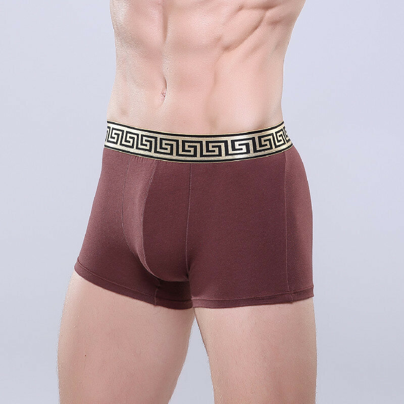 3 Pcs/Lot New Underpants Men's Modal Boxer Briefs Elephant Trunk Separated Underwear Comfortable Sexy Breathable Panties