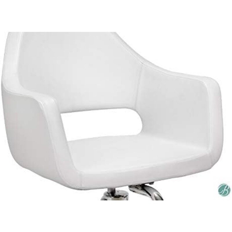 Salon Styling Chair Richardson WHT for Beauty Salon Furniture  chair  salon furniture  barbershop chair