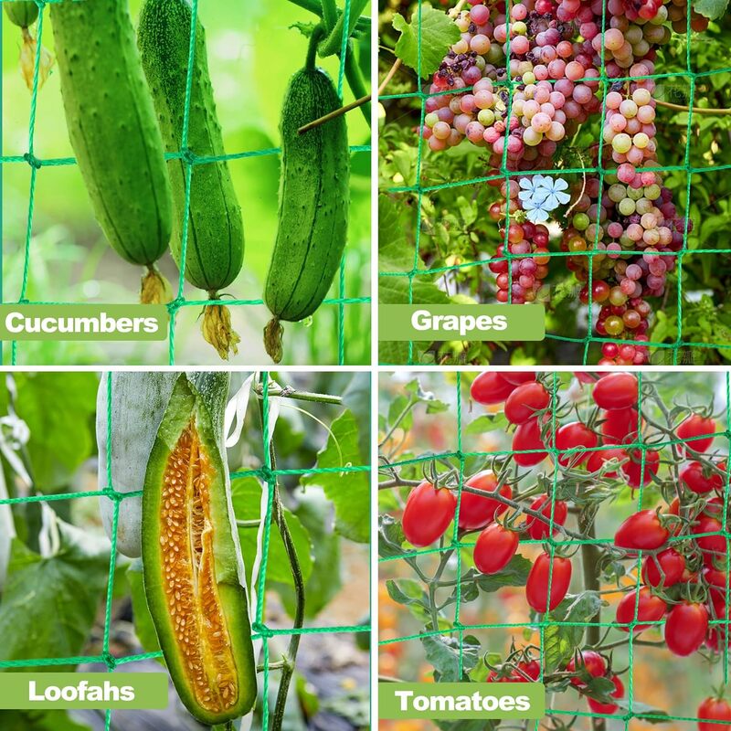 Red de enrejado de plantas para jardín, Red de escalada de vid resistente para pepino, tomate, verduras, soporte de cultivo de frutas, soportes
