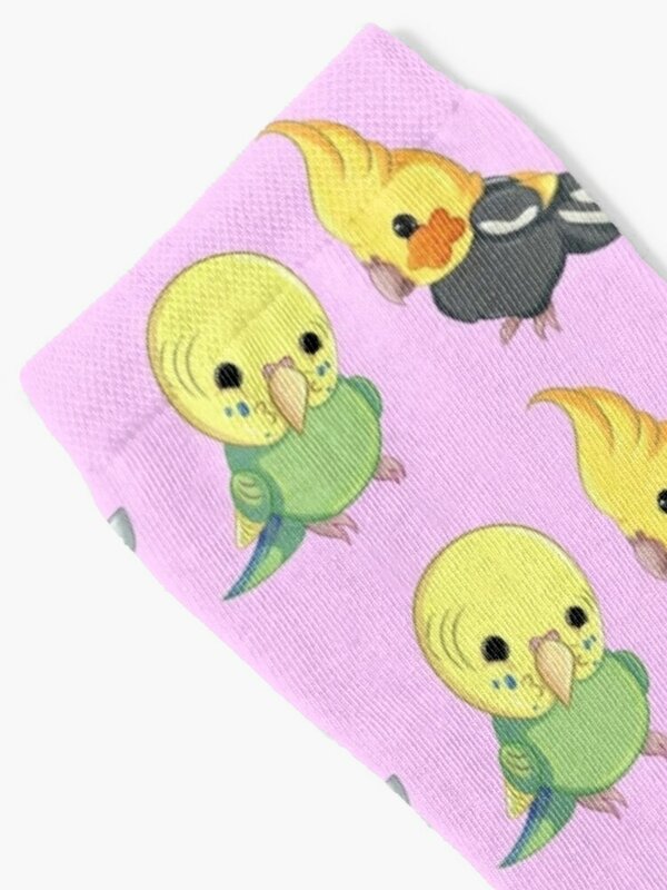 Дизайнерские брендовые носки Birdies