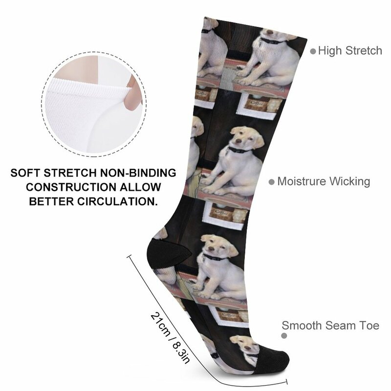 Chaussettes drôles Labrador pour hommes et femmes, chaussettes blanches
