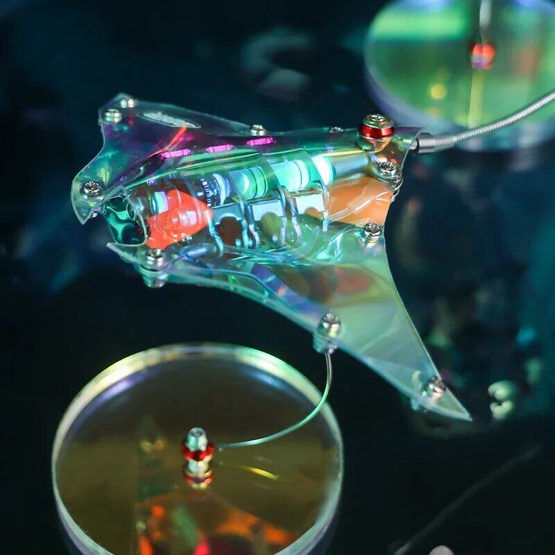 Patung ubur-ubur hiburan olahraga tembus cahaya, mainan Archer 3D DIY Dekorasi Set mainan hadiah siswa ikan setan lentera ikan