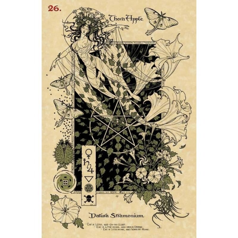 The Magickal Botanical Oracle Plants from the Witch Garden Cards, 10.4*7.3cm, 33pcs