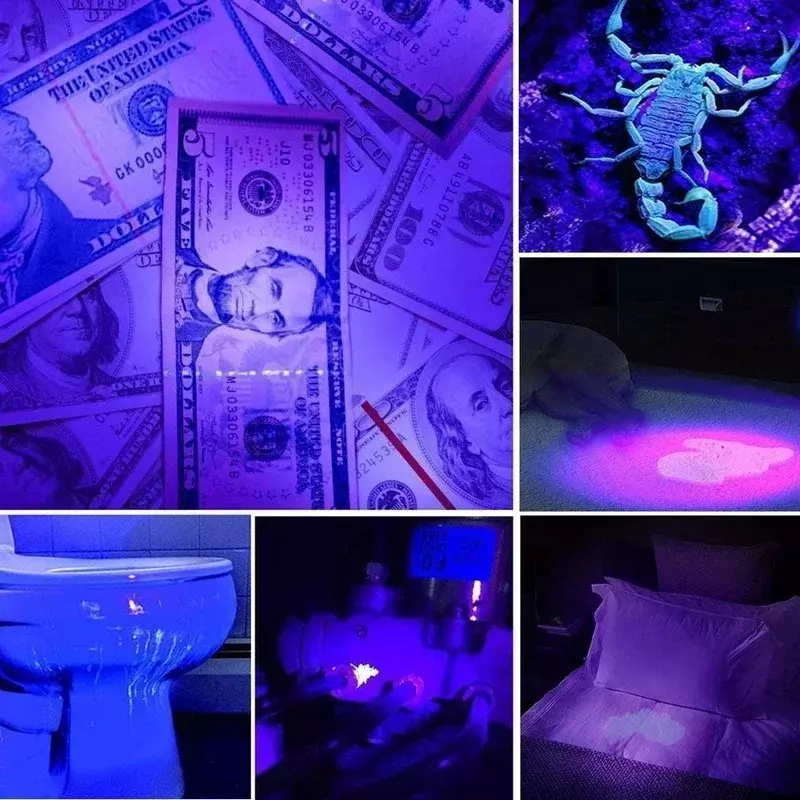 UV 손전등 LED 자외선 토치, 줌 가능한 미니 울트라 바이올렛 조명, 검사 램프, 애완 동물 소변 얼룩 감지기 도구, 395, 365nm