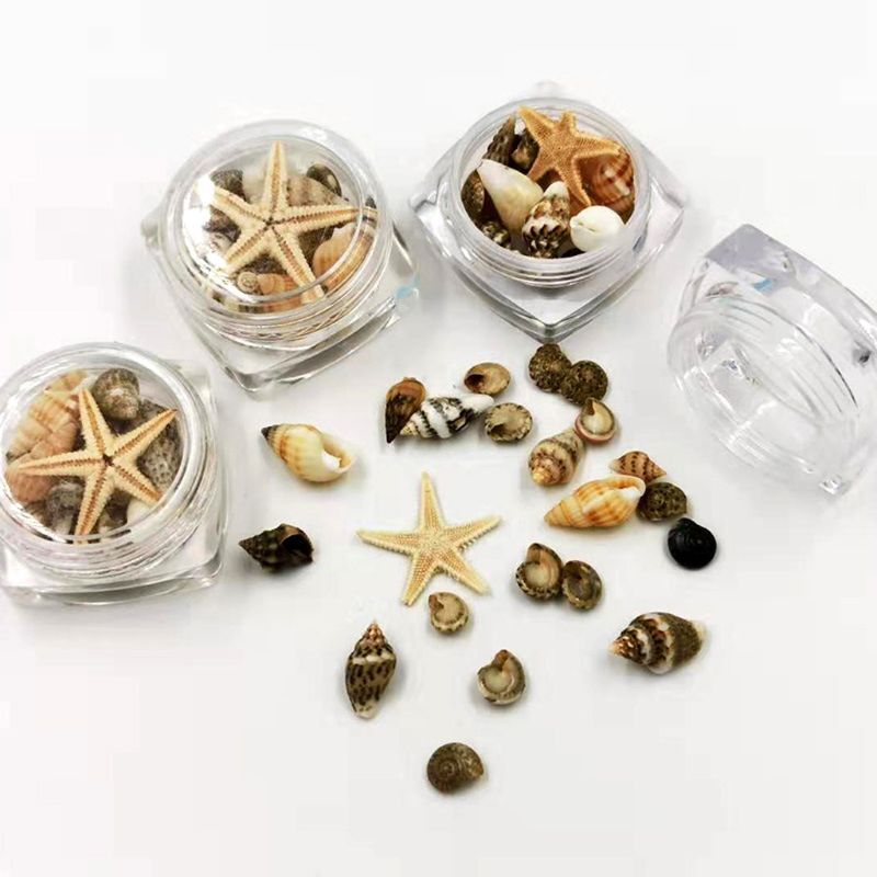 Small Natural Beach Seashell Decor Jewelry Glass DIY Fillers Art Resin Fillings Jewelry Making