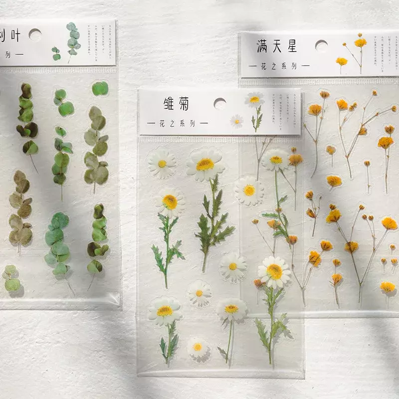 Pegatinas de palabras japonesas de trébol de Margarita Natural, Material transparente para mascotas, flores, hojas y plantas, 6 diseños