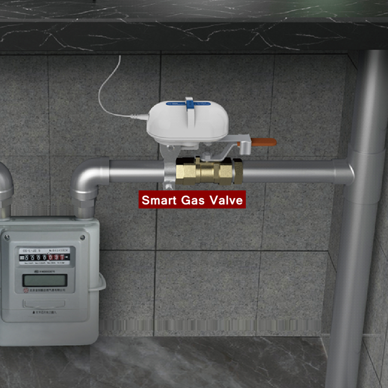 Tuya Smart Home Wifi Zigbee Water Valve Kraan Tuin Sprinkler Controller Timing Voice Control Gas Smart Klep Voor Alexa Google