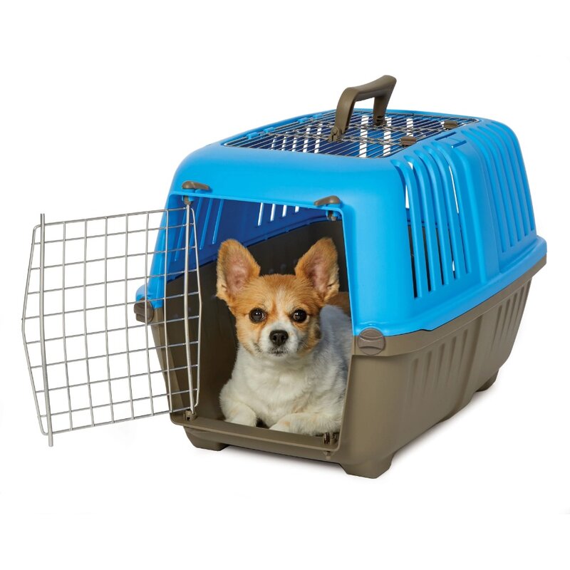 Hard-Sided Pet Carrier, 2-Door Top Load, azul, 24 em