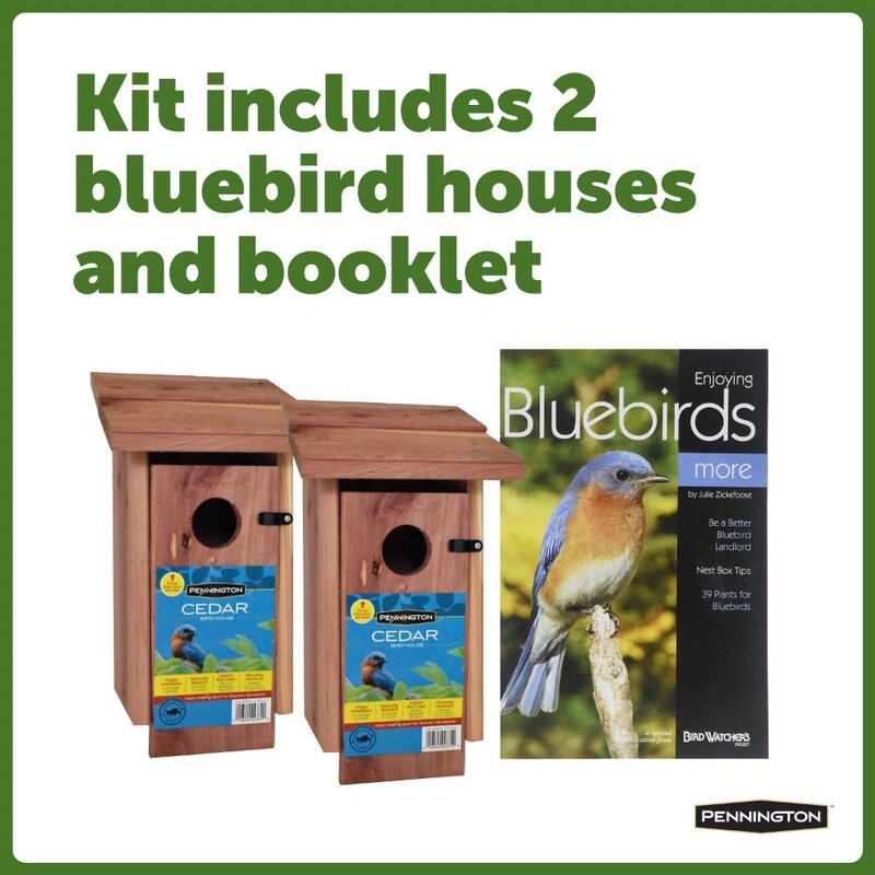 Pennington Red Cedar Bluebird Wild Bird House, 2 Pack 13'' Tail