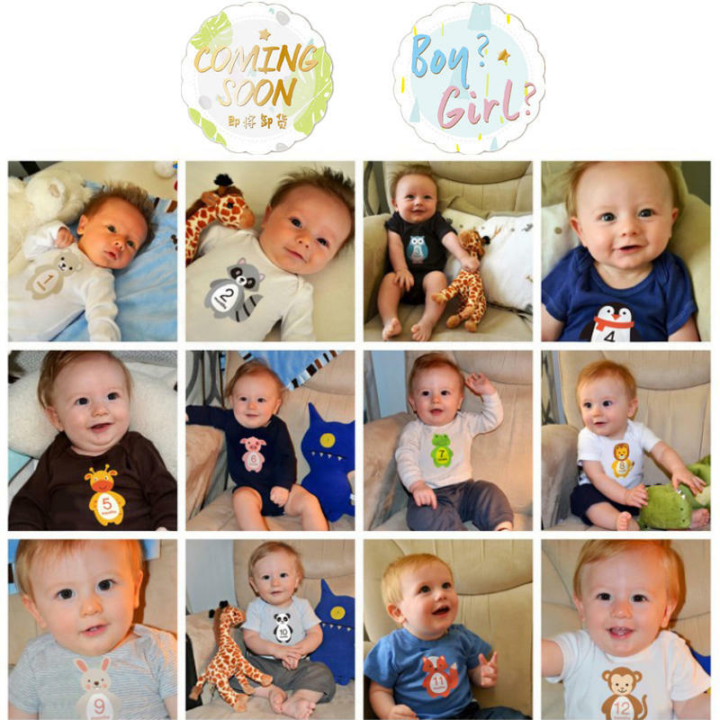 Pegatinas de hitos para bebés de 1 a 12 meses, pegatinas mensuales de registro de crecimiento, bricolaje, accesorios conmemorativos para fotomatón, 12 piezas