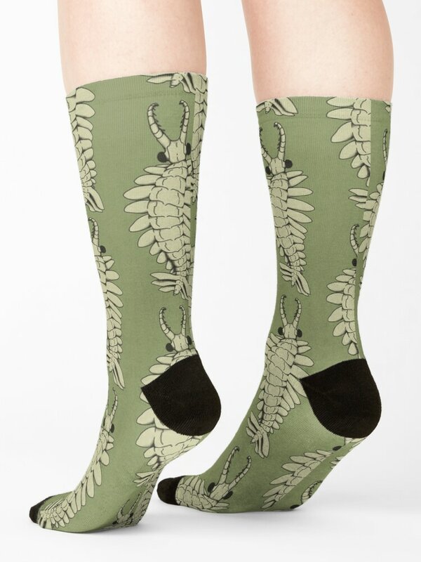 Мужские носки Anomalocaris, счастливые женские носки для мужчин